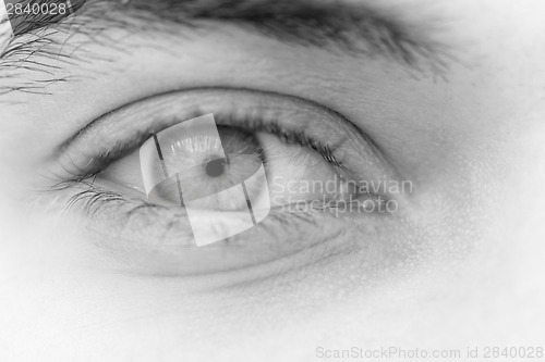 Image of Young man's eyes