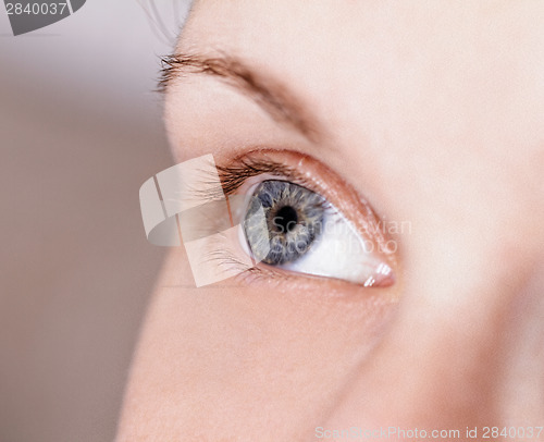 Image of Blue eye