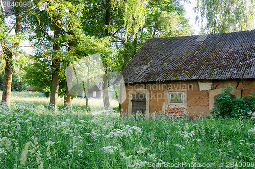 Image of molar old ural barn between the high grass 