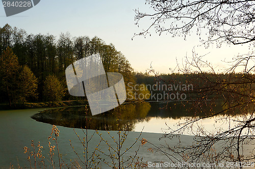 Image of Branch over lake with duckweed at sunset