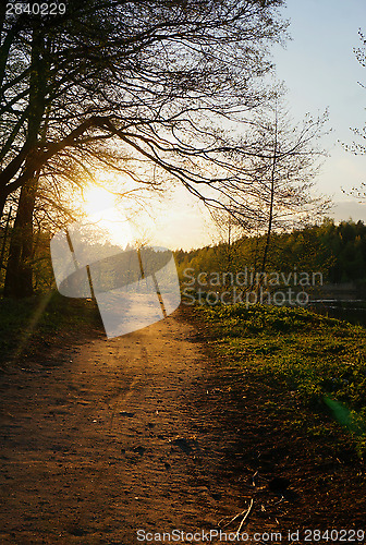 Image of The road illuminated by the light of the setting sun