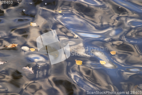 Image of Lake in autumn