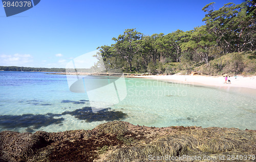 Image of Bristol Point NSW Australia