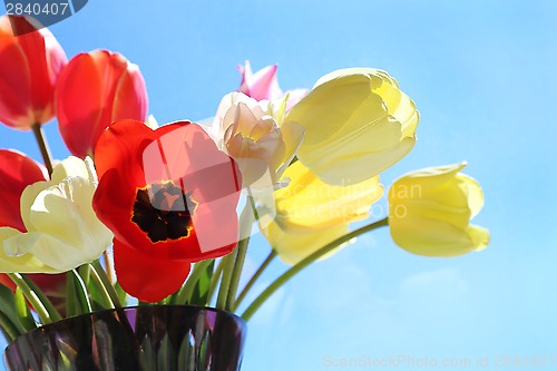 Image of Bouquet of colorful tulips
