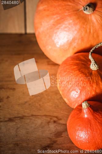 Image of Pumpkins On Grunge Wooden Backdrop Background