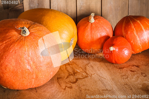 Image of Pumpkins On Grunge Wooden Backdrop Background
