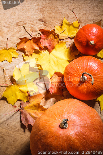 Image of Pumpkins On Grunge Wooden Backdrop Background
