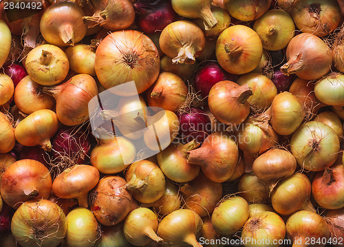 Image of Onions Background