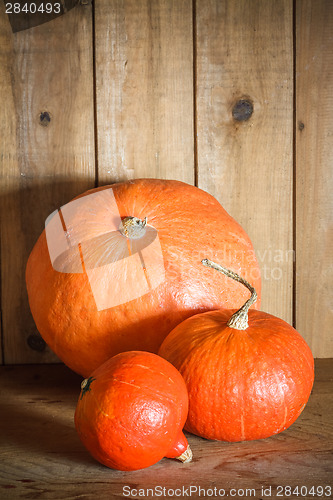 Image of Pumpkins On Grunge Wooden Backdrop Background