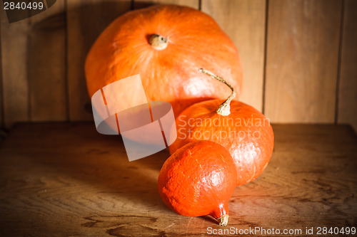 Image of Pumpkins On Grunge Wooden Backdrop Background