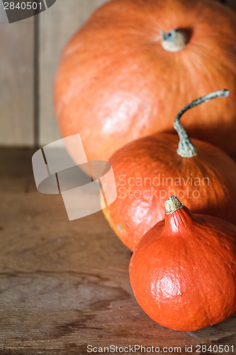 Image of Pumpkins on grunge wooden backdrop background