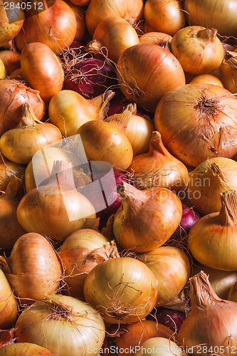 Image of Onions Background