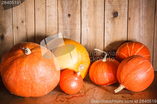 Image of Pumpkins On Grunge Wooden Backdrop Background