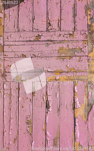 Image of Pink Grunge Wood Texture.