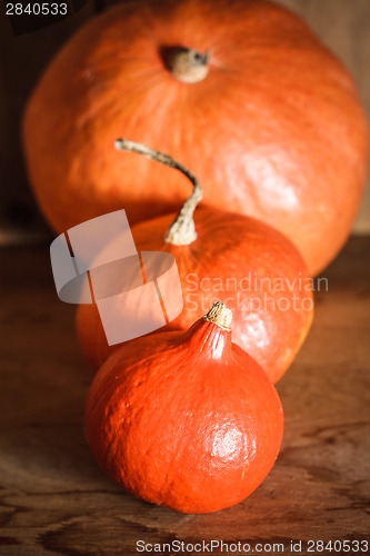 Image of Pumpkins On Grunge Wooden Backdrop Background