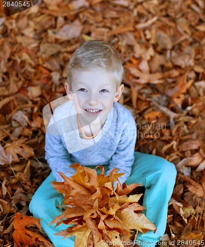 Image of kid at fall