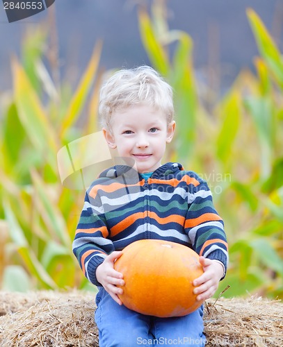 Image of boy at pumpkin patch