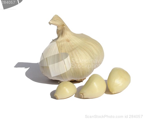 Image of Garlic