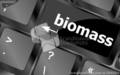 Image of Keyboard keys with biomass word button