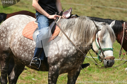 Image of Man on horse