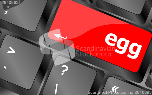 Image of egg word on computer pc keyboard key