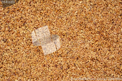 Image of Golden linseed