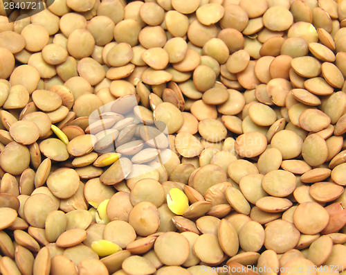 Image of  A lot of lentils in a close-up view
