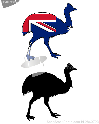 Image of Kassowary flag