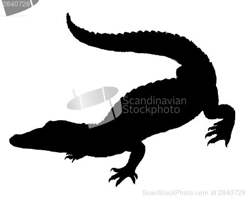 Image of Crocodile Silhouette
