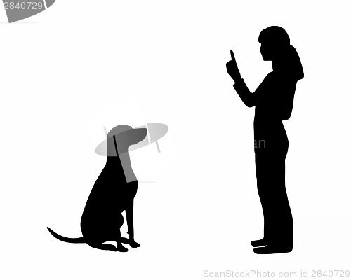 Image of Dog training (obedience): command: sit