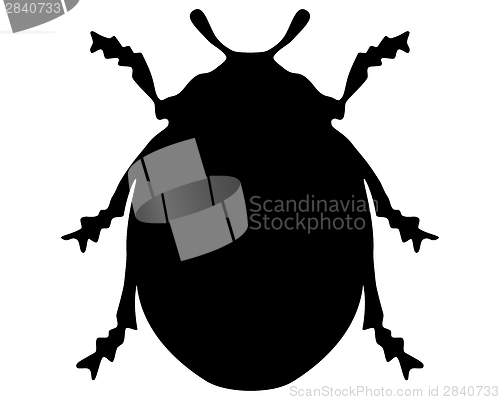 Image of Ladybird silhouette