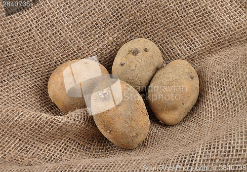 Image of Potatoes on jute