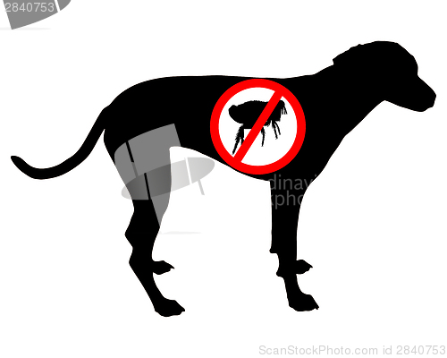 Image of Dog flea prohibition sign