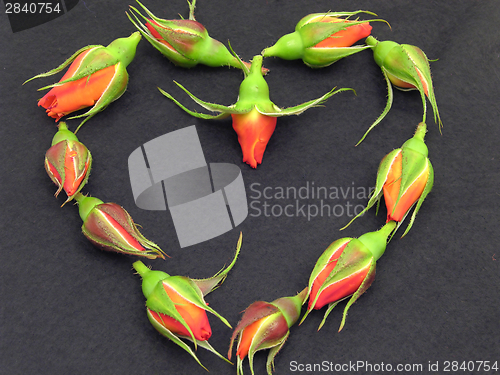 Image of Rose buds arranged as heart on black felt