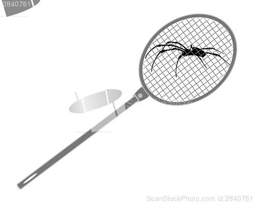 Image of The illustration of a fly swat above spider