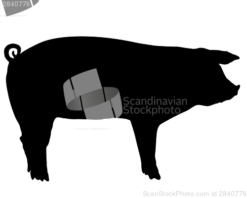 Image of Pig silhouette