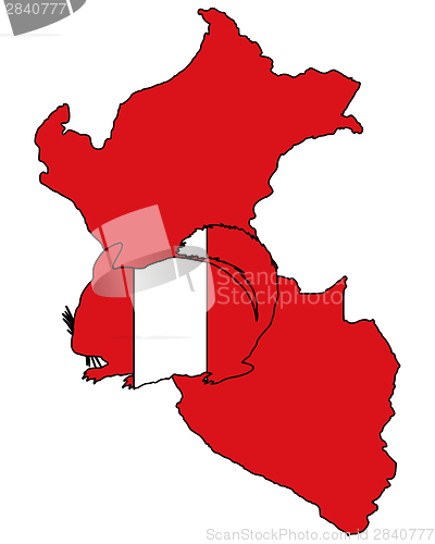 Image of Chinchilla Peru