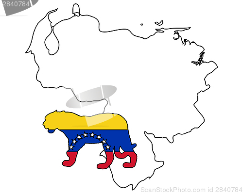 Image of Jaguar Venezuela