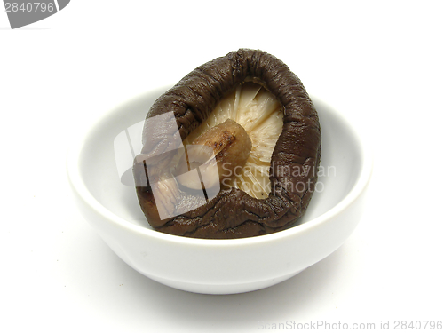 Image of Shiitake in a little bowl of chinaware on white 