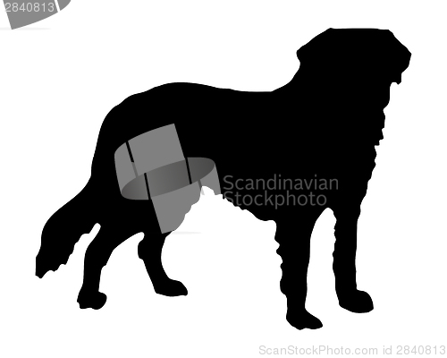 Image of The black silhouette of a Saint Bernard dog