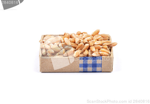 Image of Spelt on white