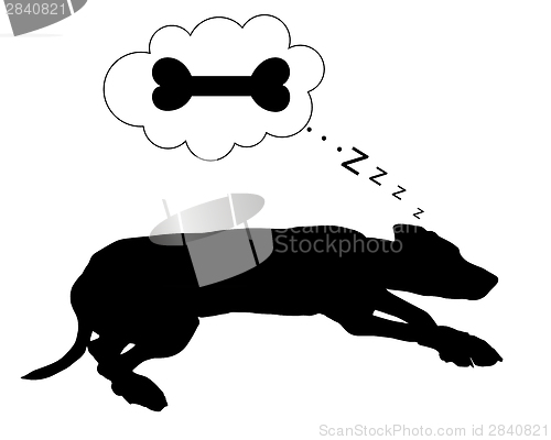 Image of Dog dreams of feeding