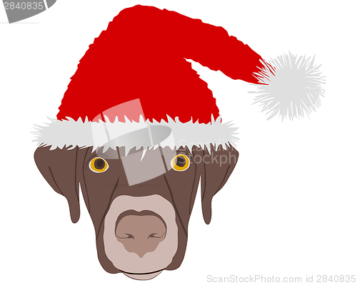 Image of Laughing dog with red santa claus caps