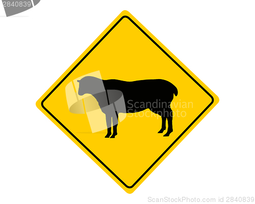 Image of Sheep flock warning sign