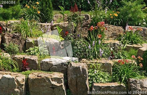 Image of Flowering garden on stones