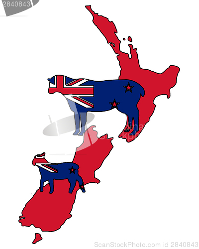 Image of Sheeps of New Zealand