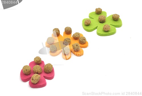Image of Dog food on felt