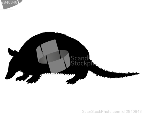Image of Armadillo Silhouette