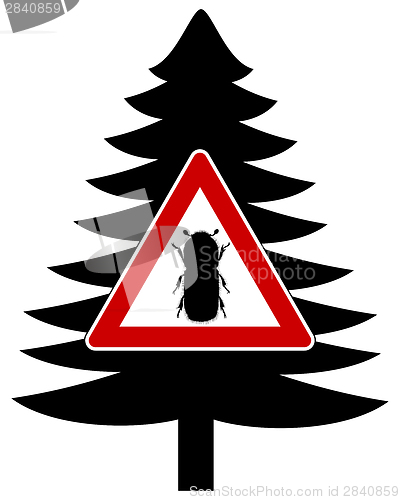 Image of Bark-beetle attention sign