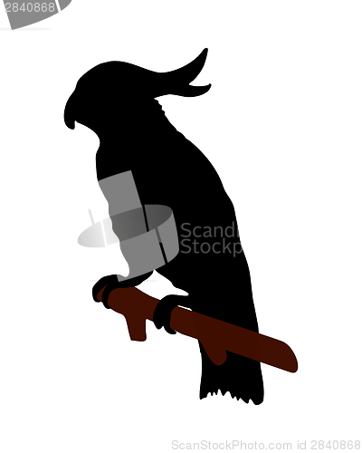 Image of The black silhouette of a cockatoo on white